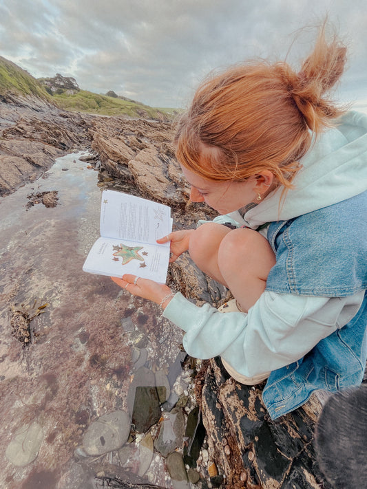 National Marine Week - 5 Species To Find in the UK