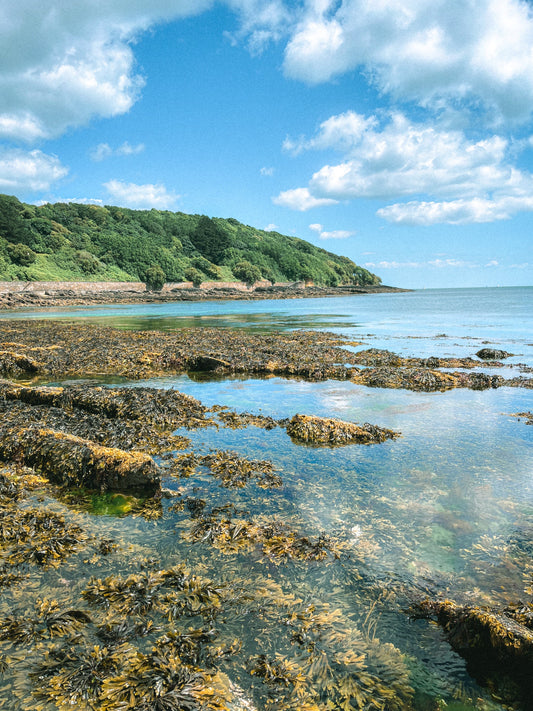Top 5 Places in Cornwall to Take Your Ocean Lover's Guide
