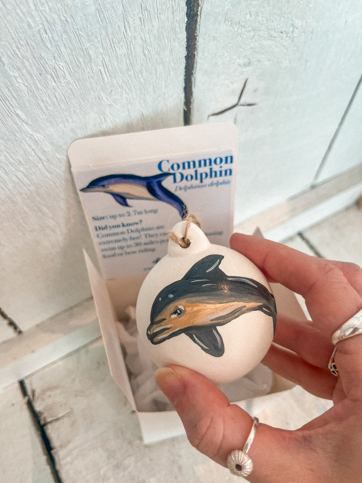 Common Dolphin Hand Painted Bauble