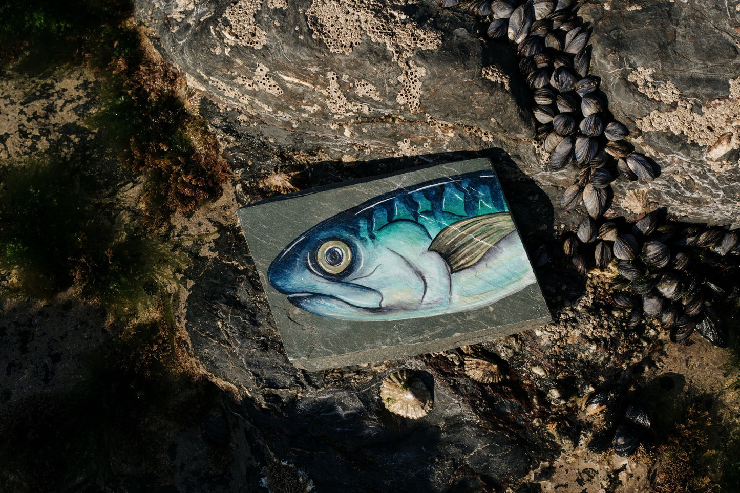 Mackerel Slate Painting, Original Watercolour Painting
