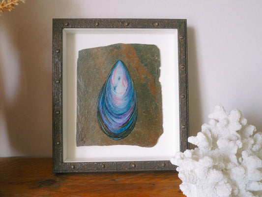 Mussel on Slate, Original Watercolour