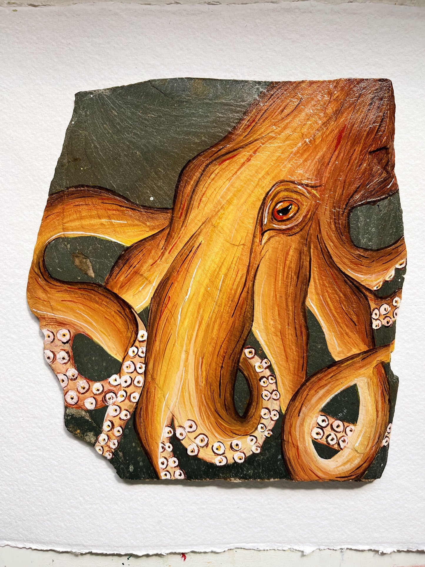 Octopus on Slate, Original Watercolour Painting
