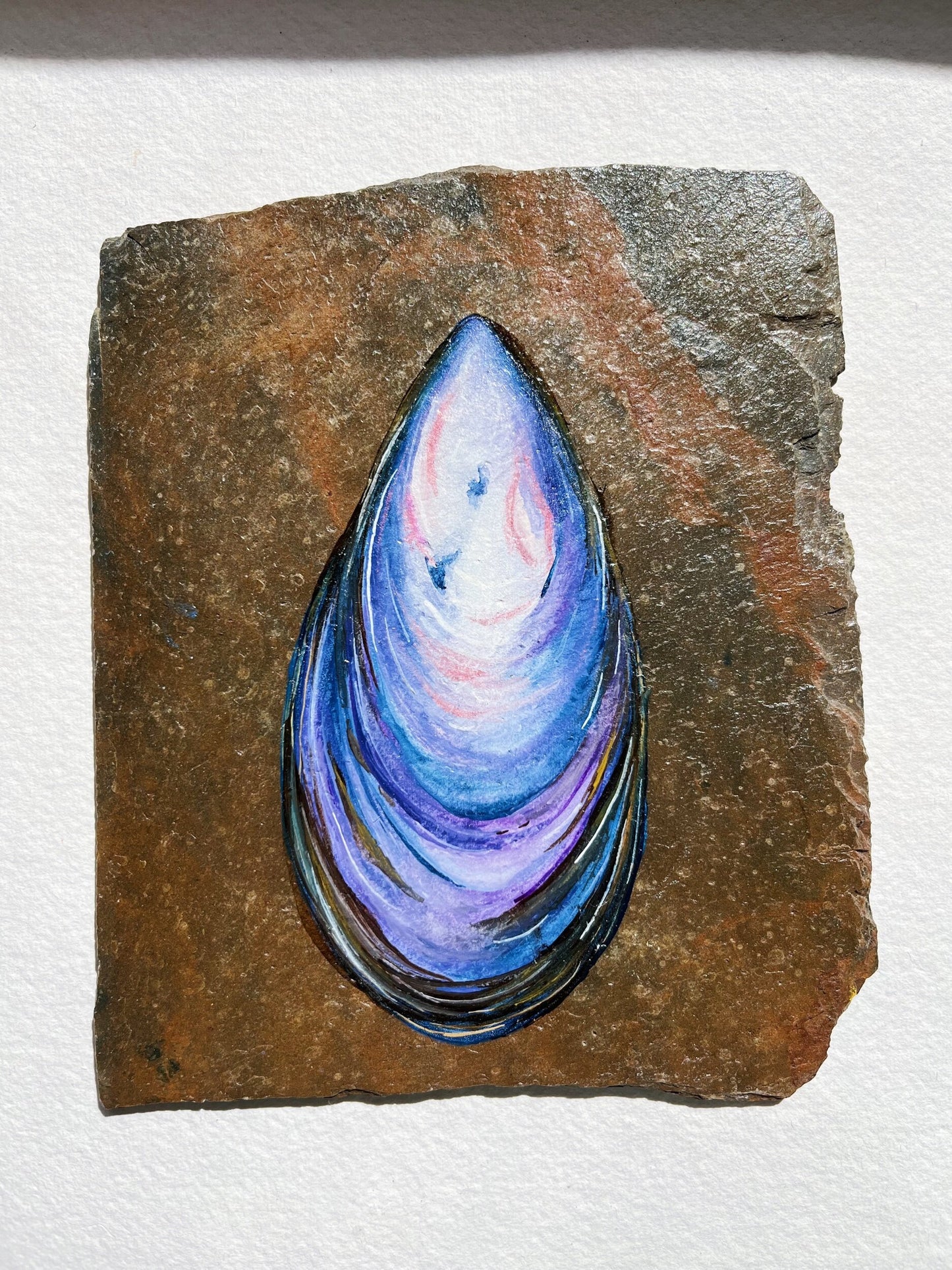 Mussel on Slate, Original Watercolour