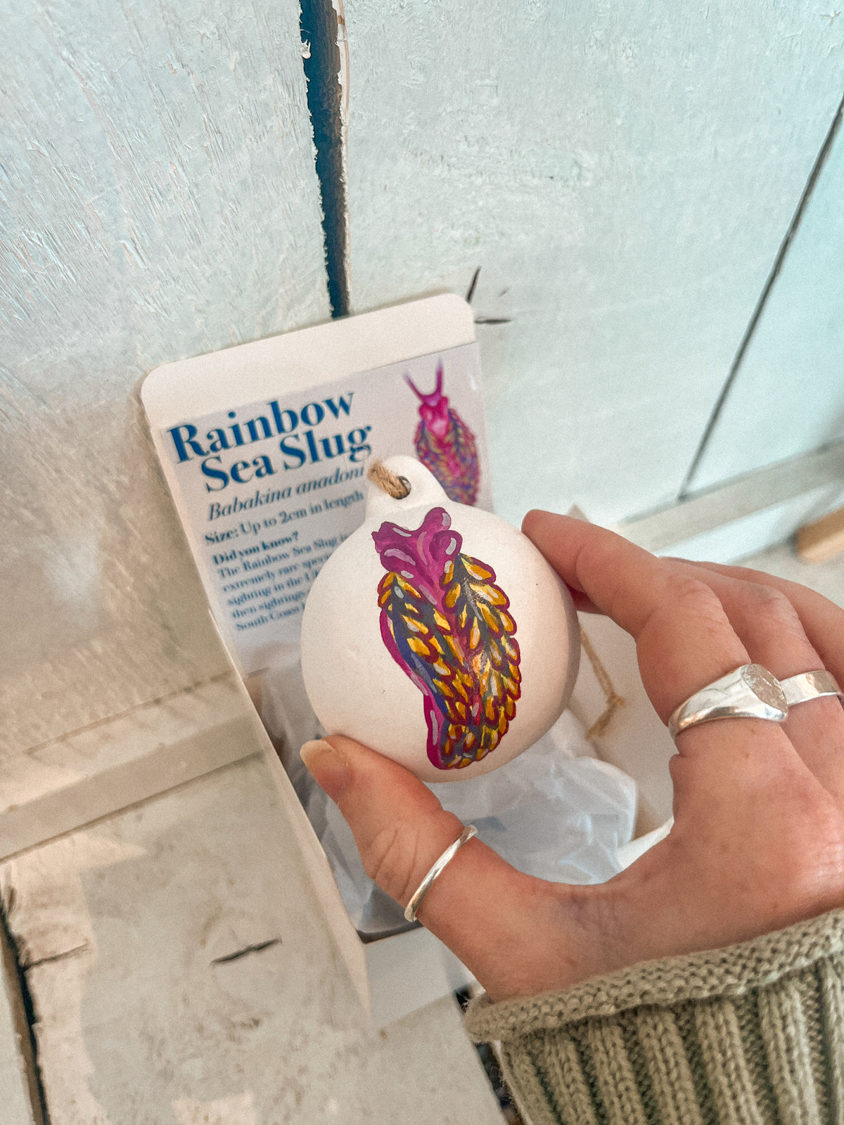 Rainbow Sea Slug Hand Painted Bauble