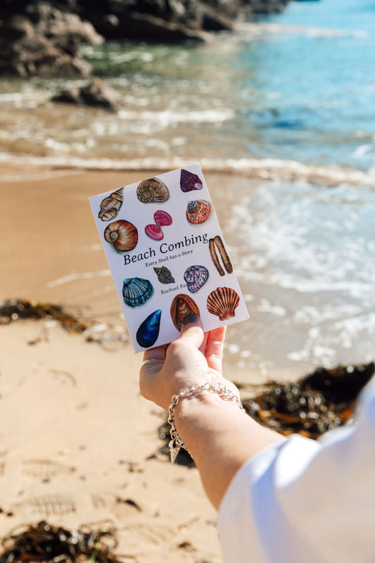 Beach Combing Pocket Book
