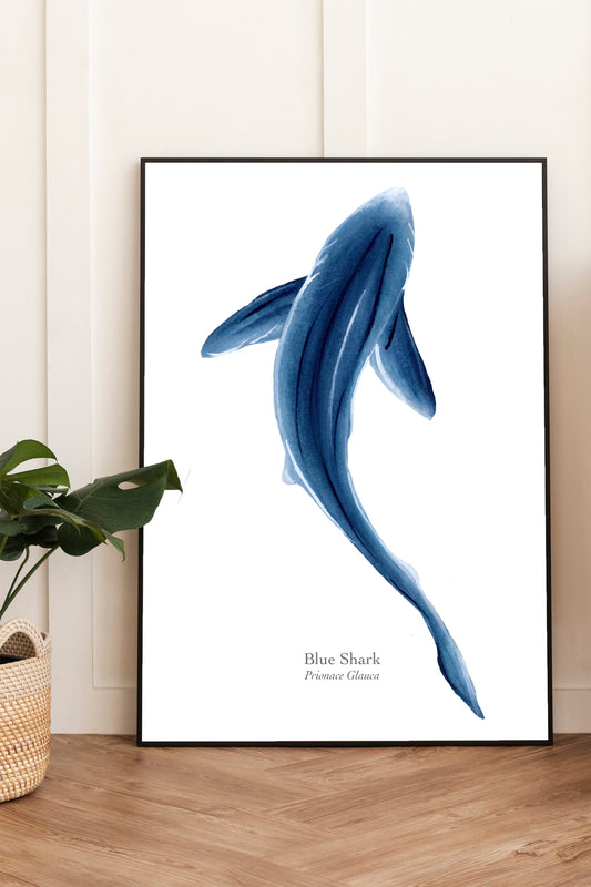 Custom Species Illustration