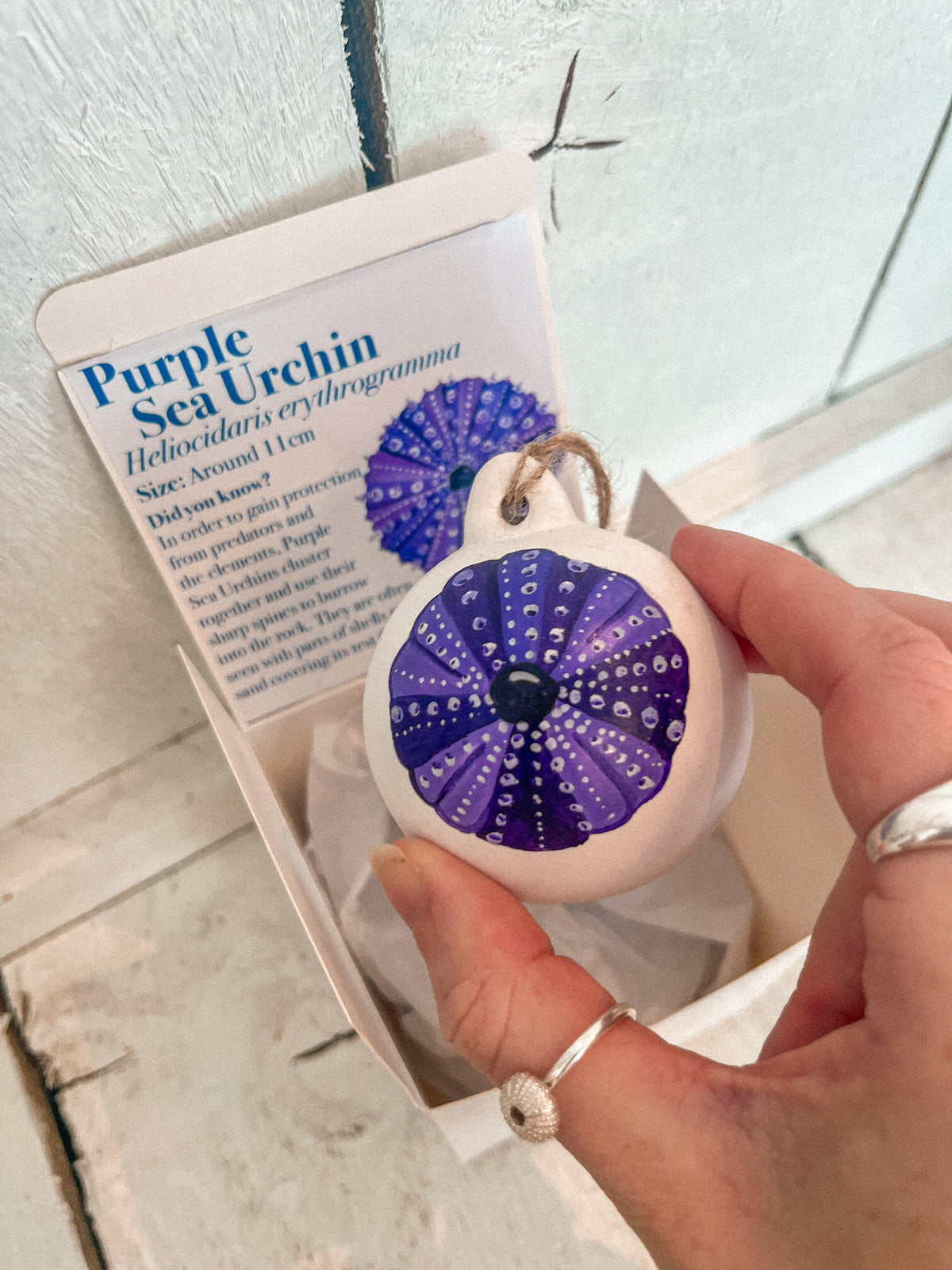 Purple Sea Urchin Hand Painted Bauble