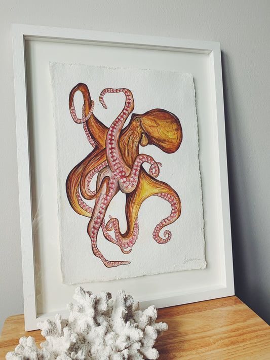 Common Octopus Original Watercolour Painting