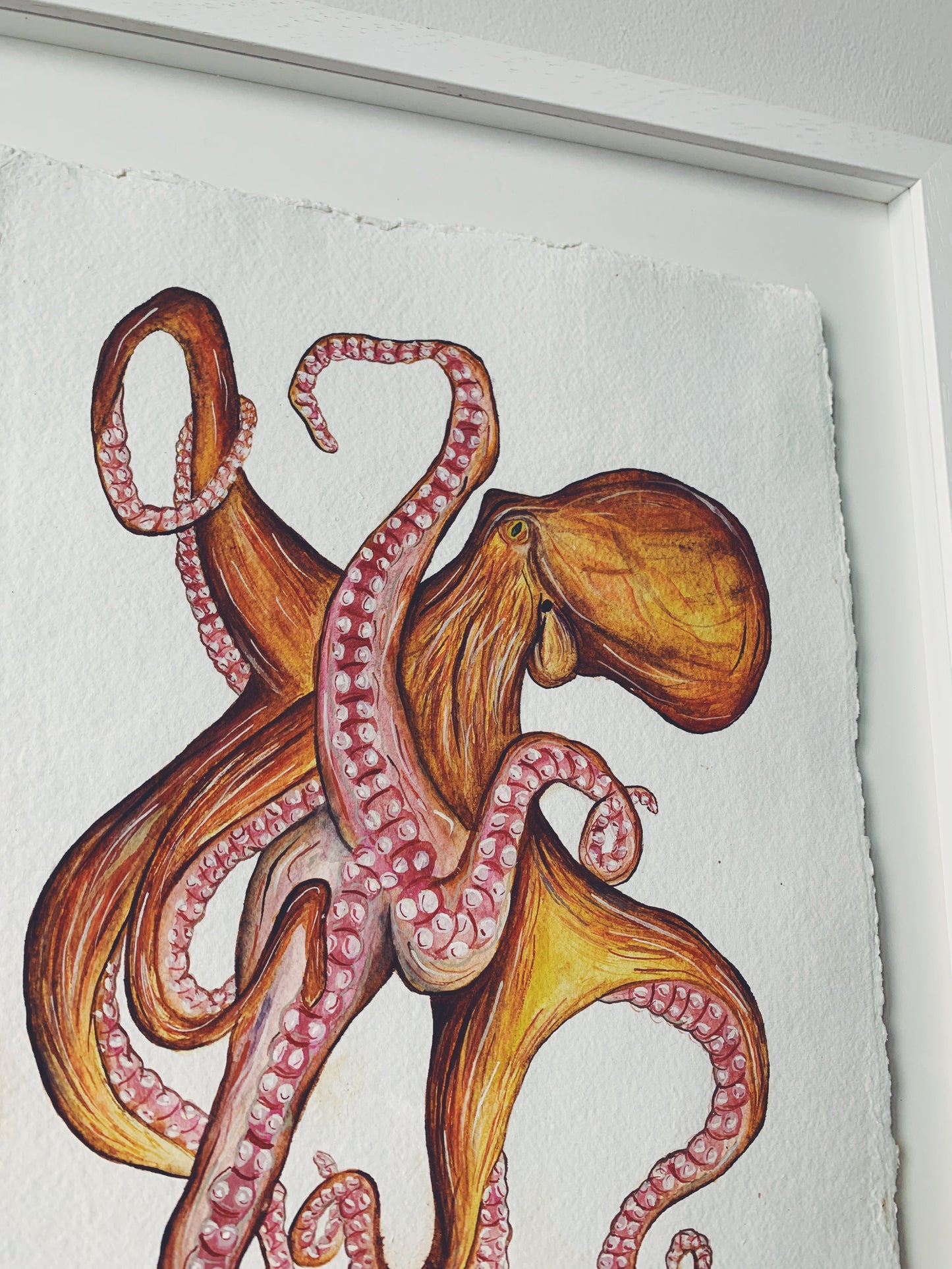 Common Octopus Original Watercolour Painting