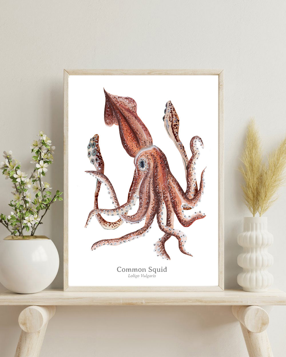 Common Squid Fine Art Print