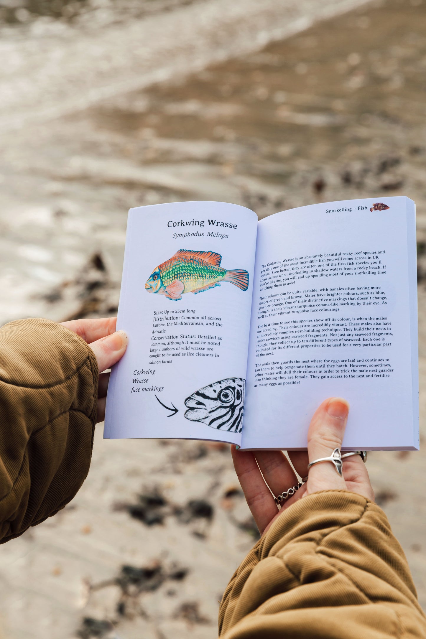 Snorkelling Pocket Book