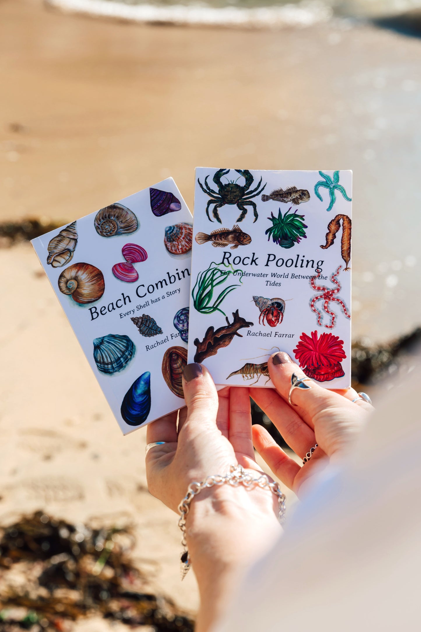 Rock Pooling Pocket Guide