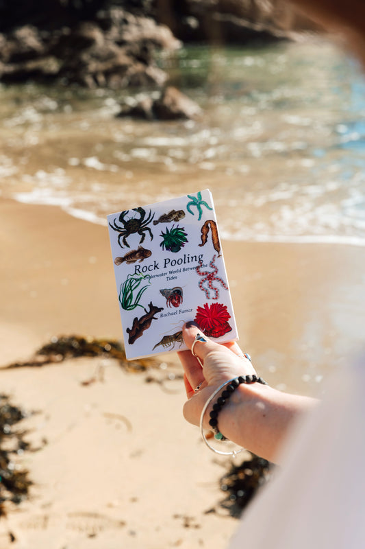 Rock Pooling Pocket Guide