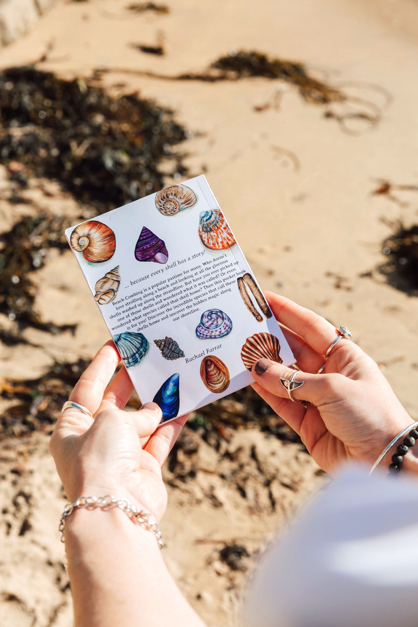 Beach Combing Pocket Book