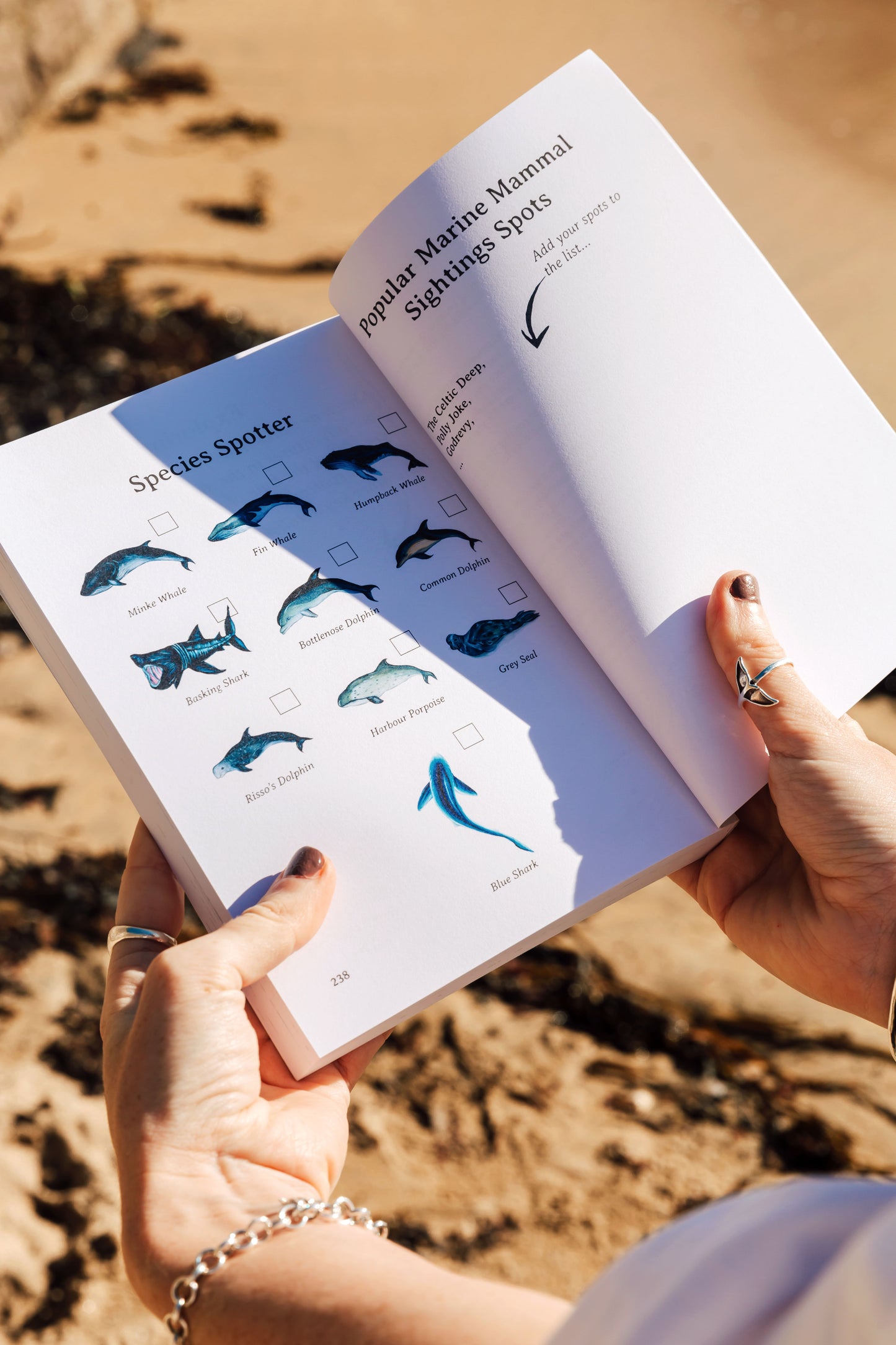The Ocean Lover's Guide