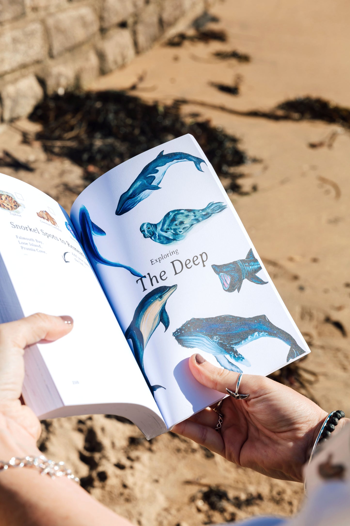 The Ocean Lover's Guide