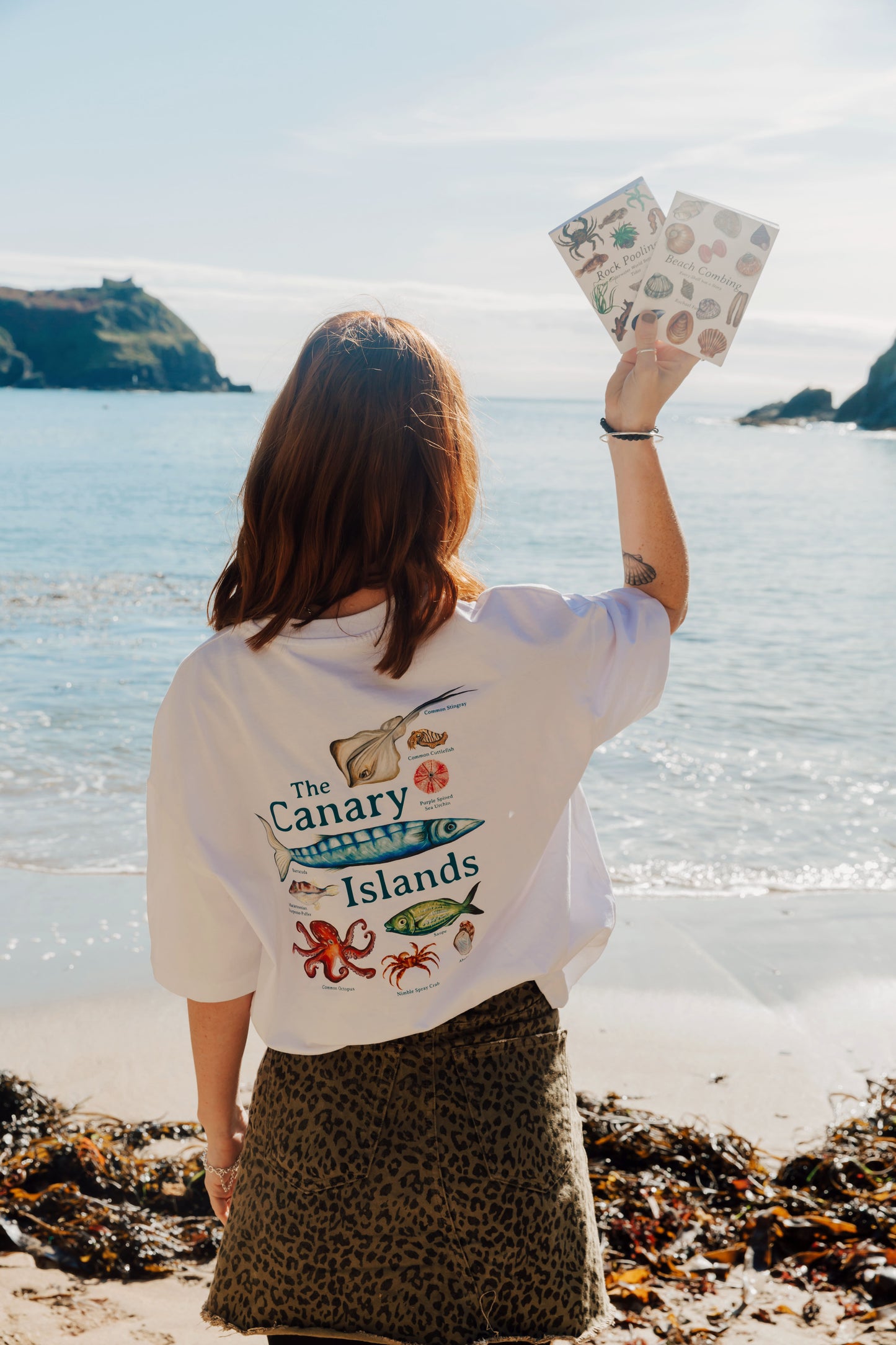 Rock Pooling Pocket Guide
