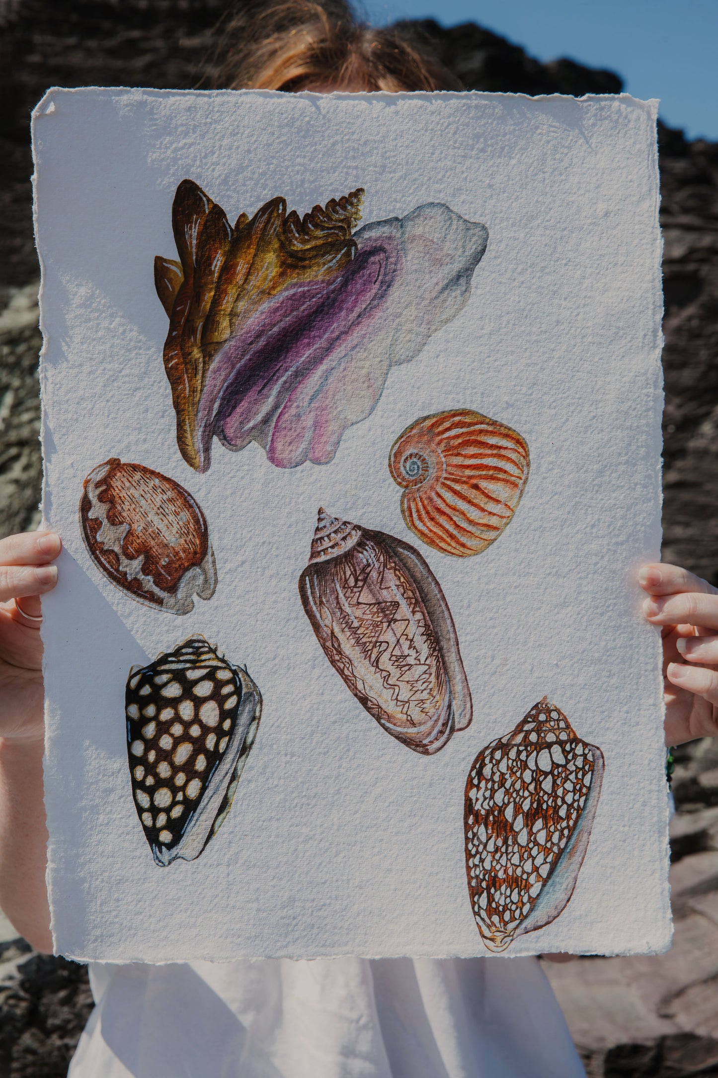 Treasures from the Shore Original Watercolour Painting