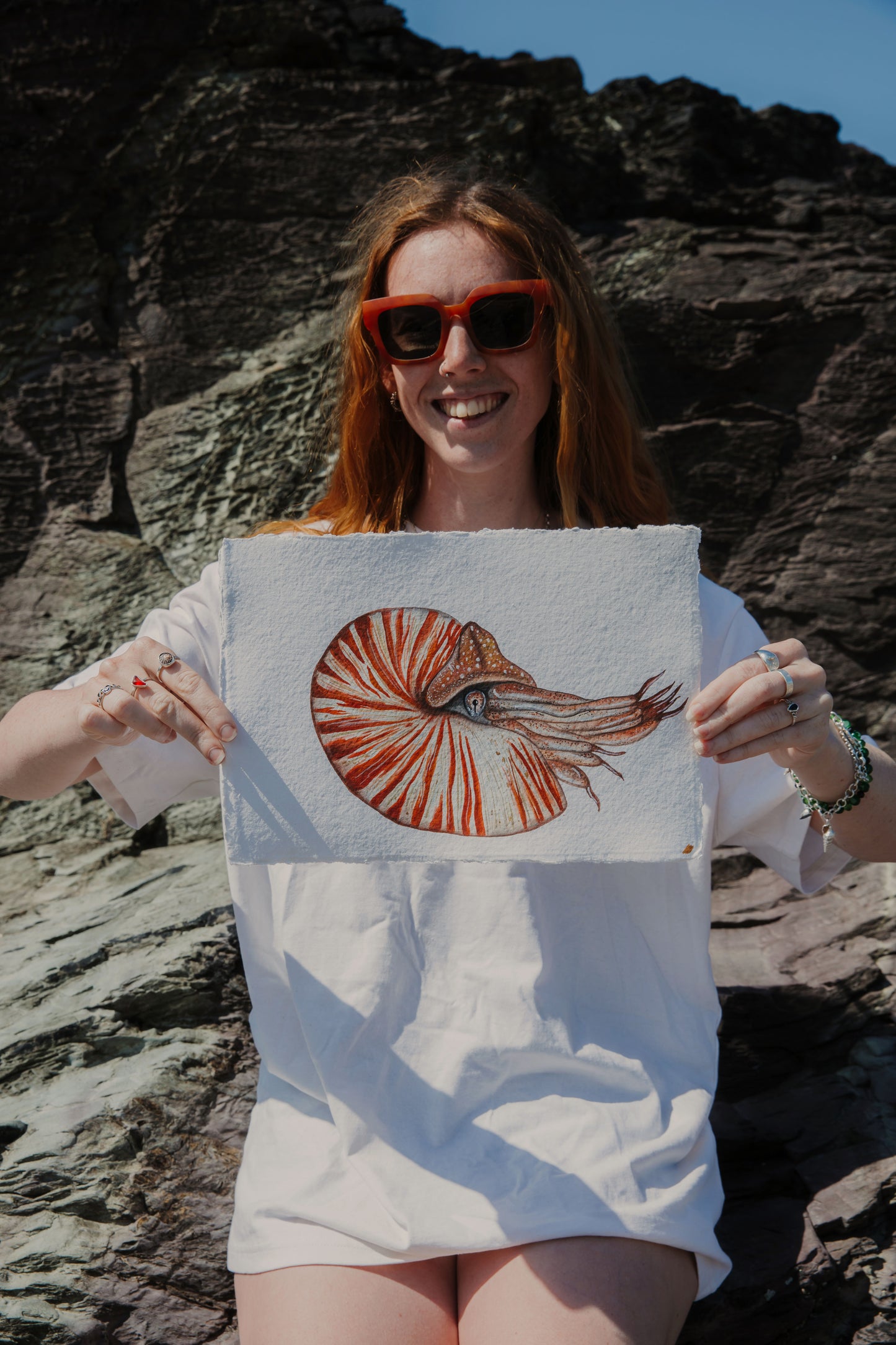 Nautilus Original Watercolour