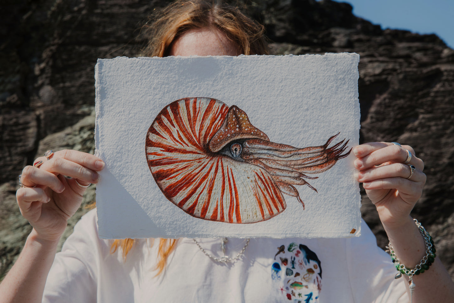 Nautilus Original Watercolour
