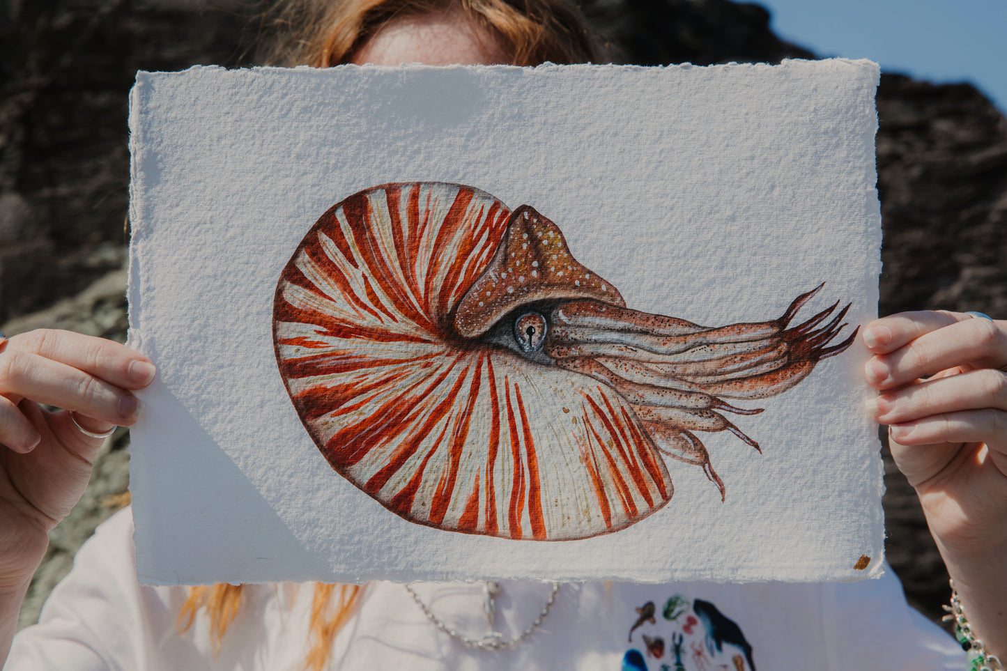 Nautilus Original Watercolour