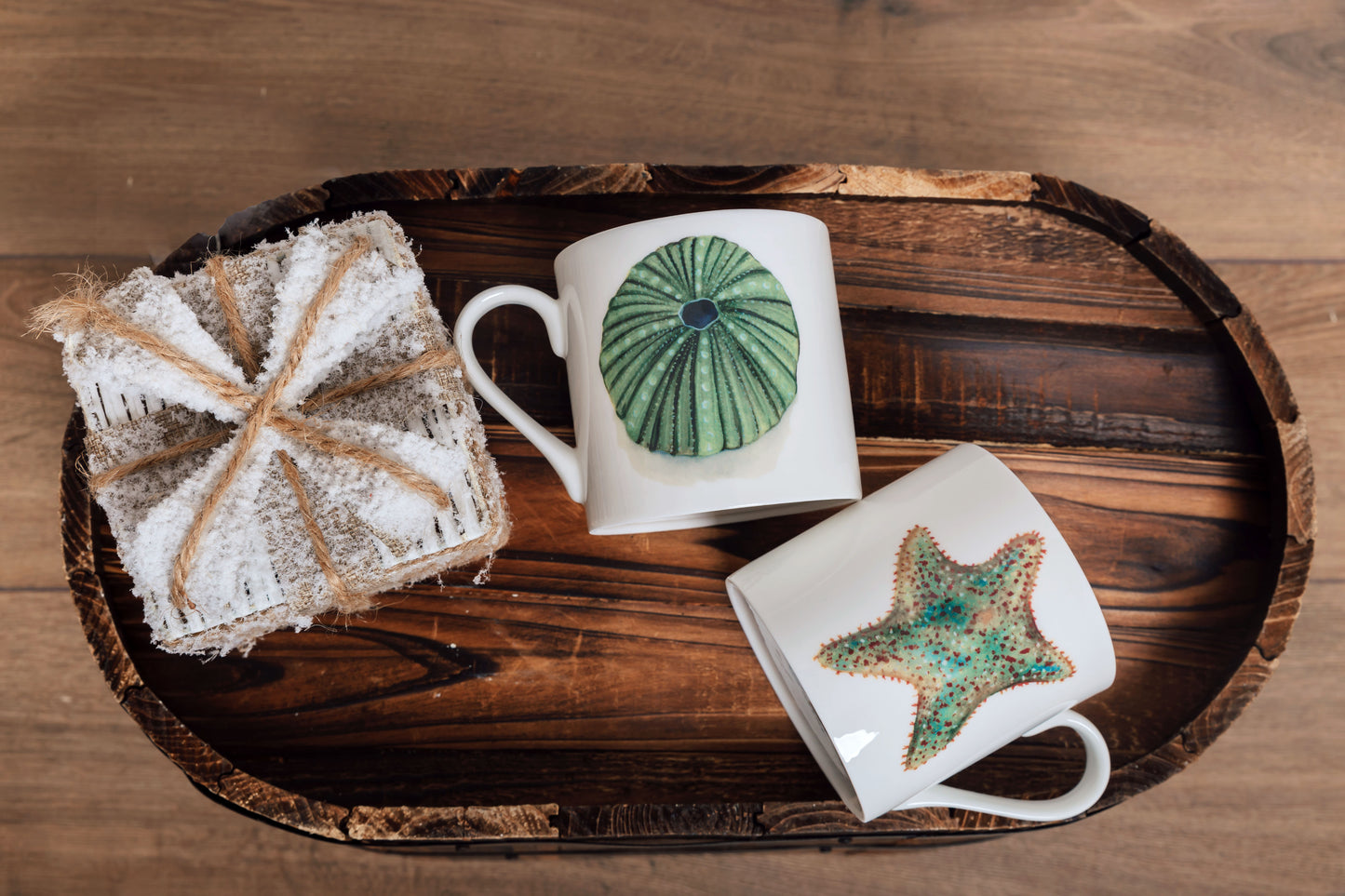 Sea Urchin Fine Bone China Mug