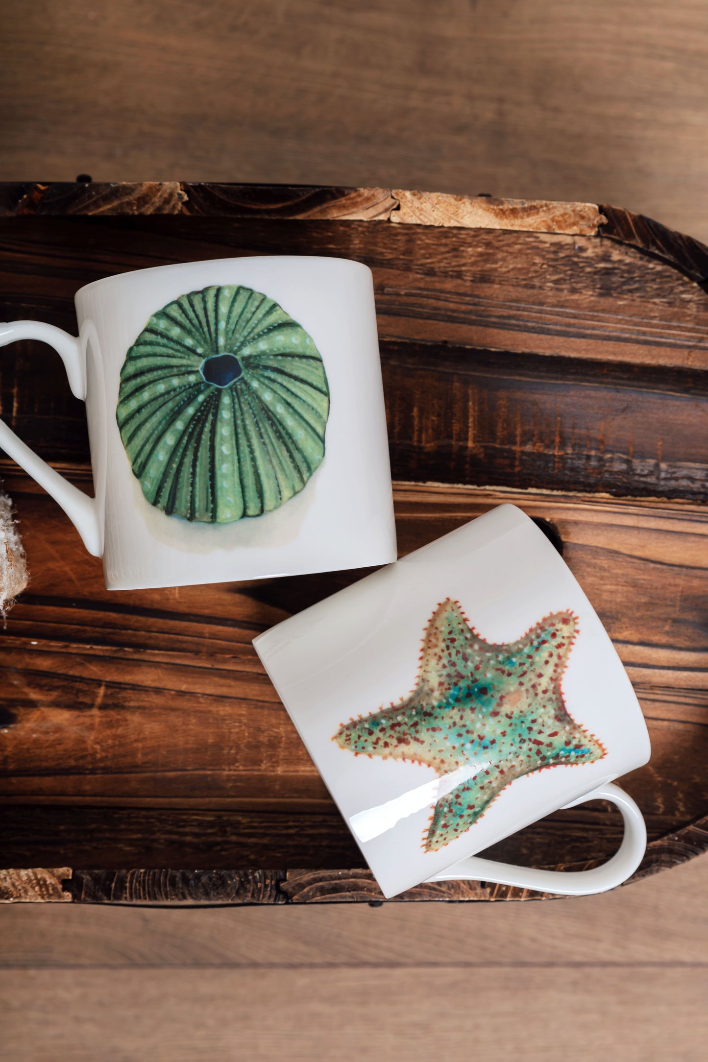Starfish Fine Bone China Mug