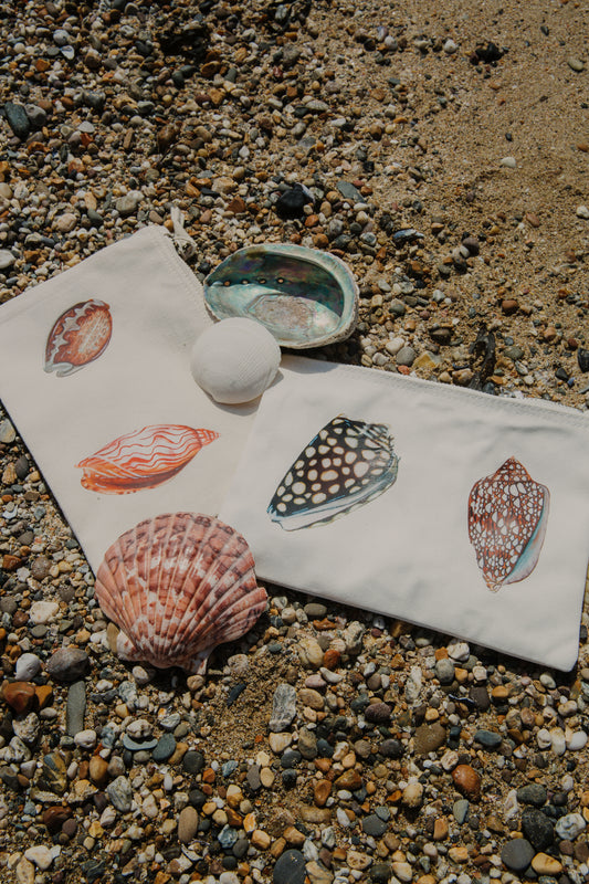 The Shell Pouch