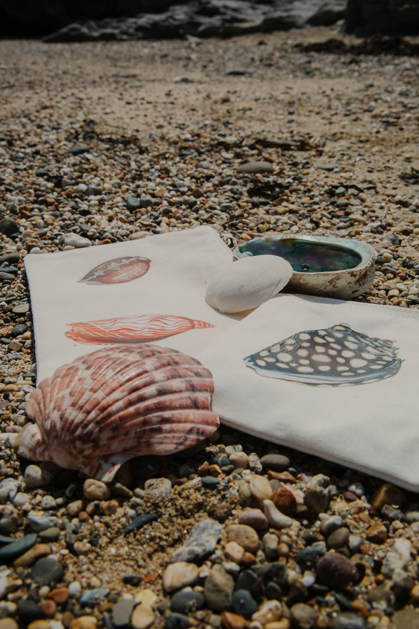 The Shell Pouch