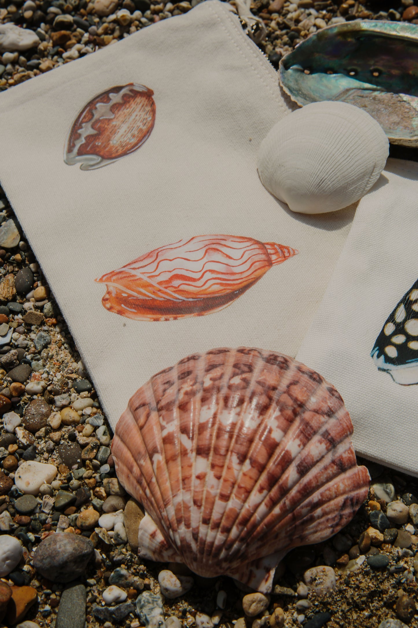 The Shell Pouch