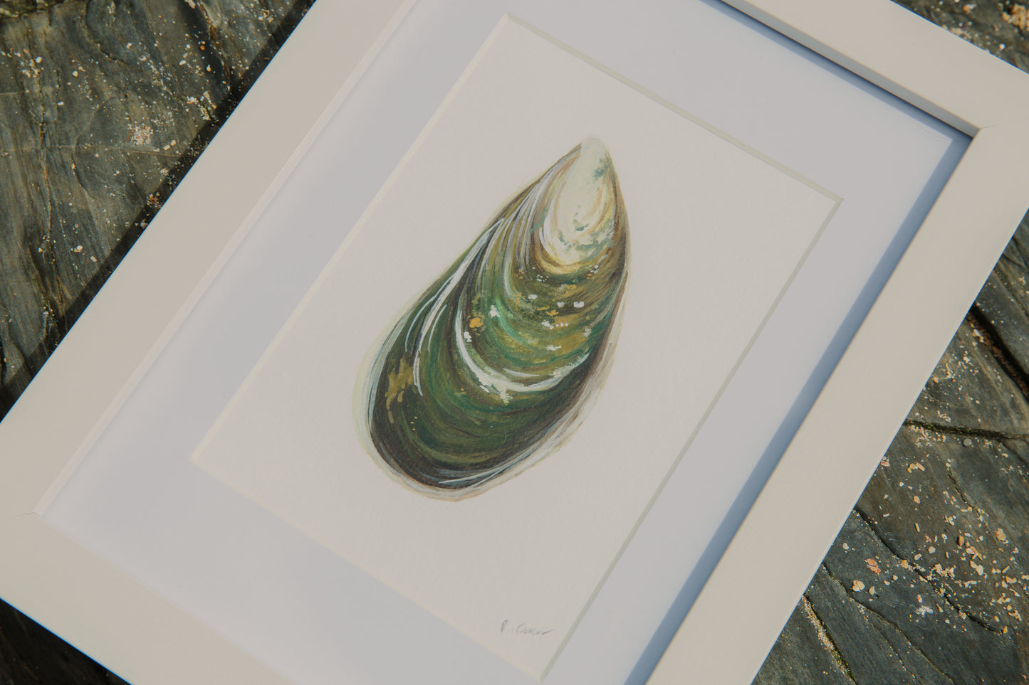 Green Mussel Mini Original Watercolour