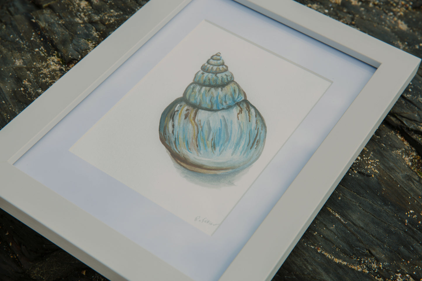 Blue Periwinkle Mini Original Watercolour