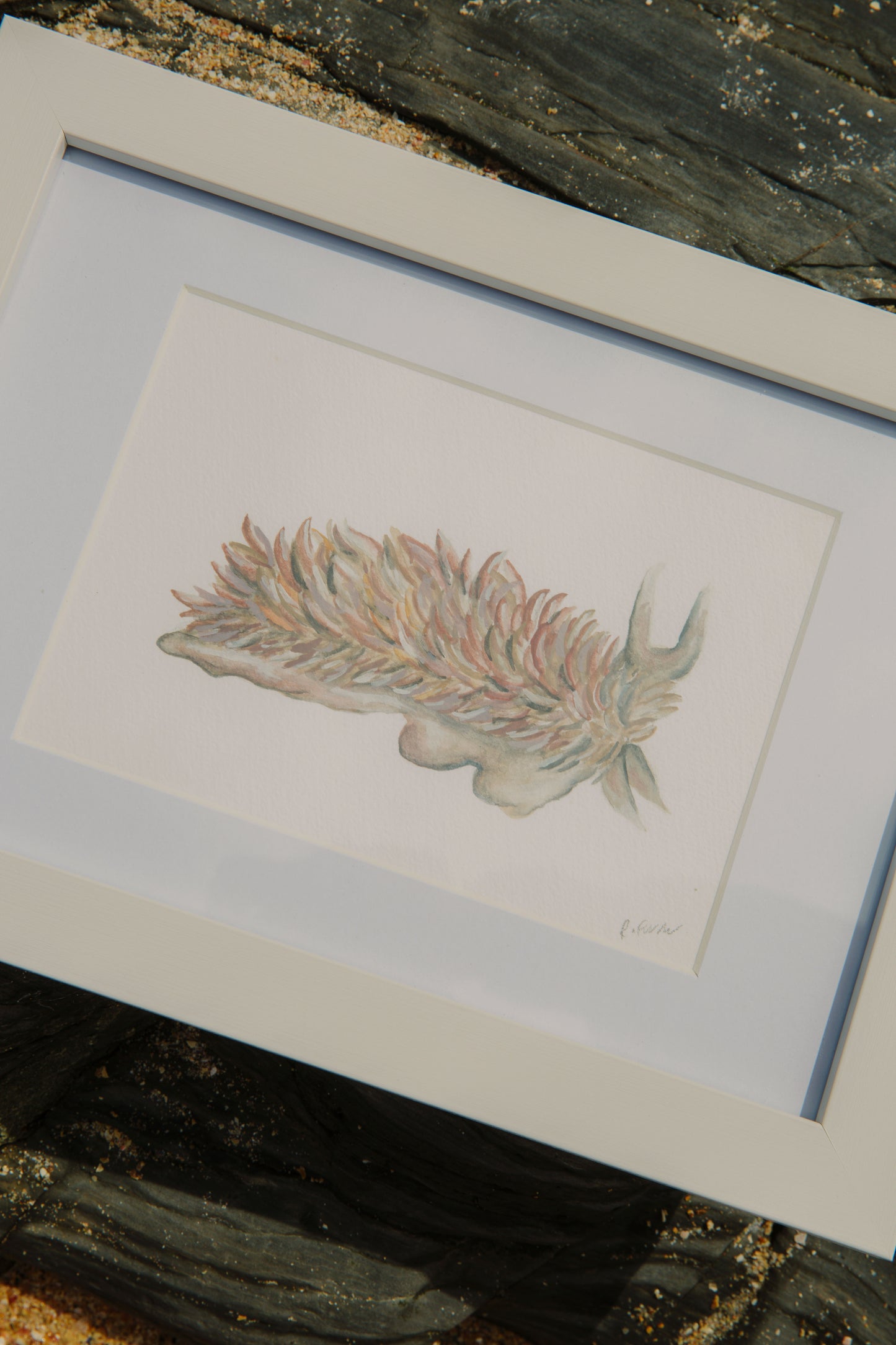 Grey Sea Slug Mini Original Watercolour