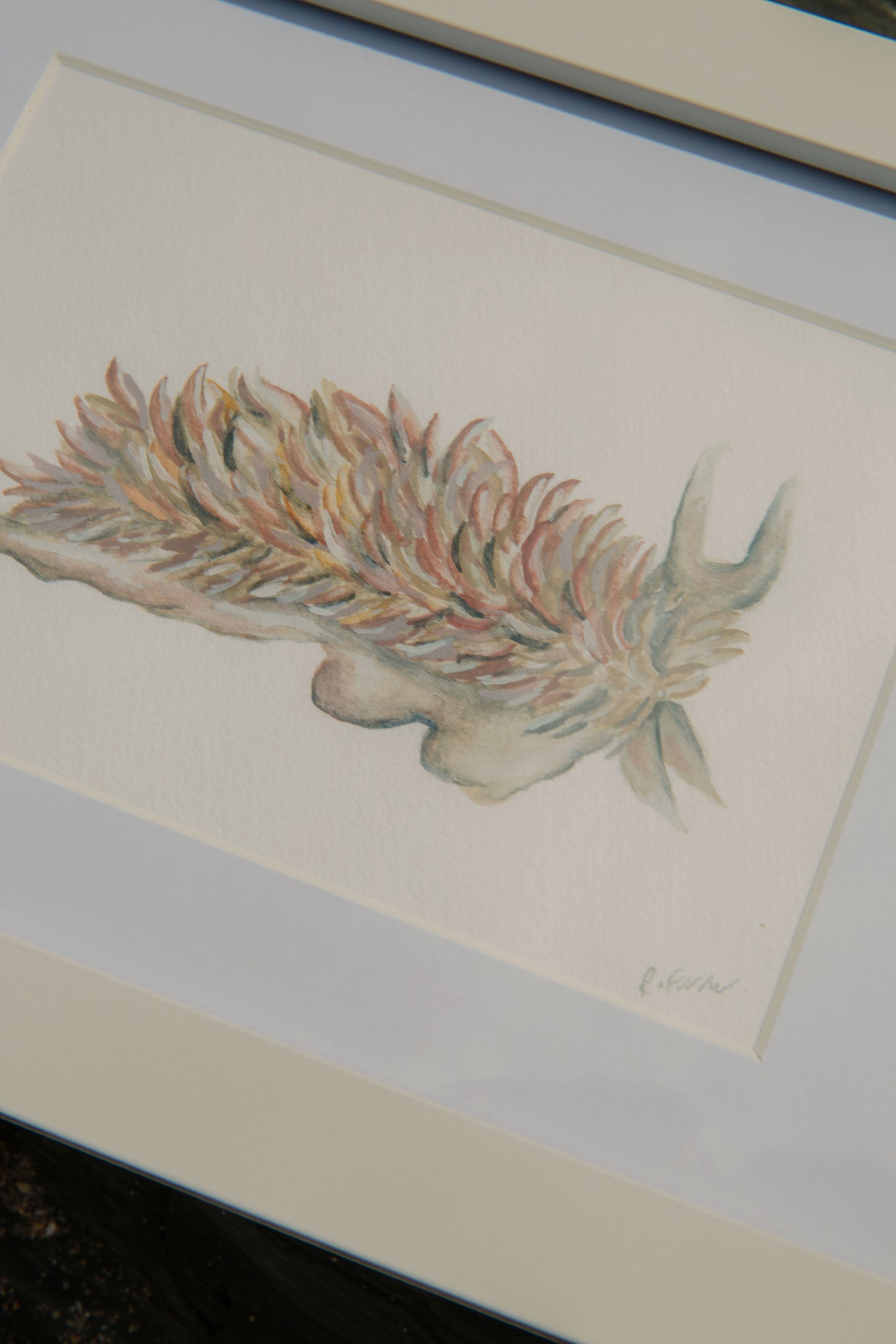 Grey Sea Slug Mini Original Watercolour