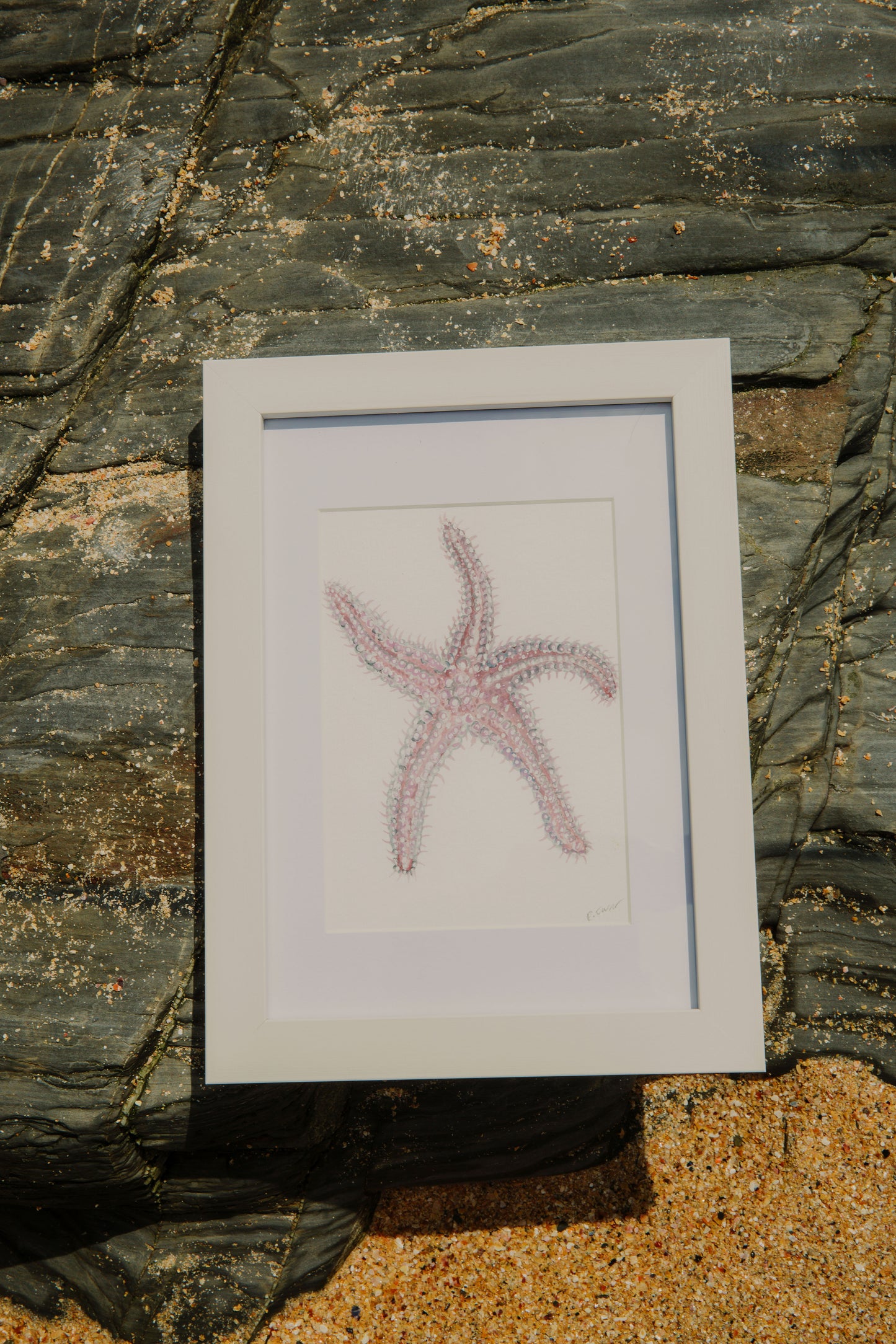 Spiny Starfish Mini Original Watercolour