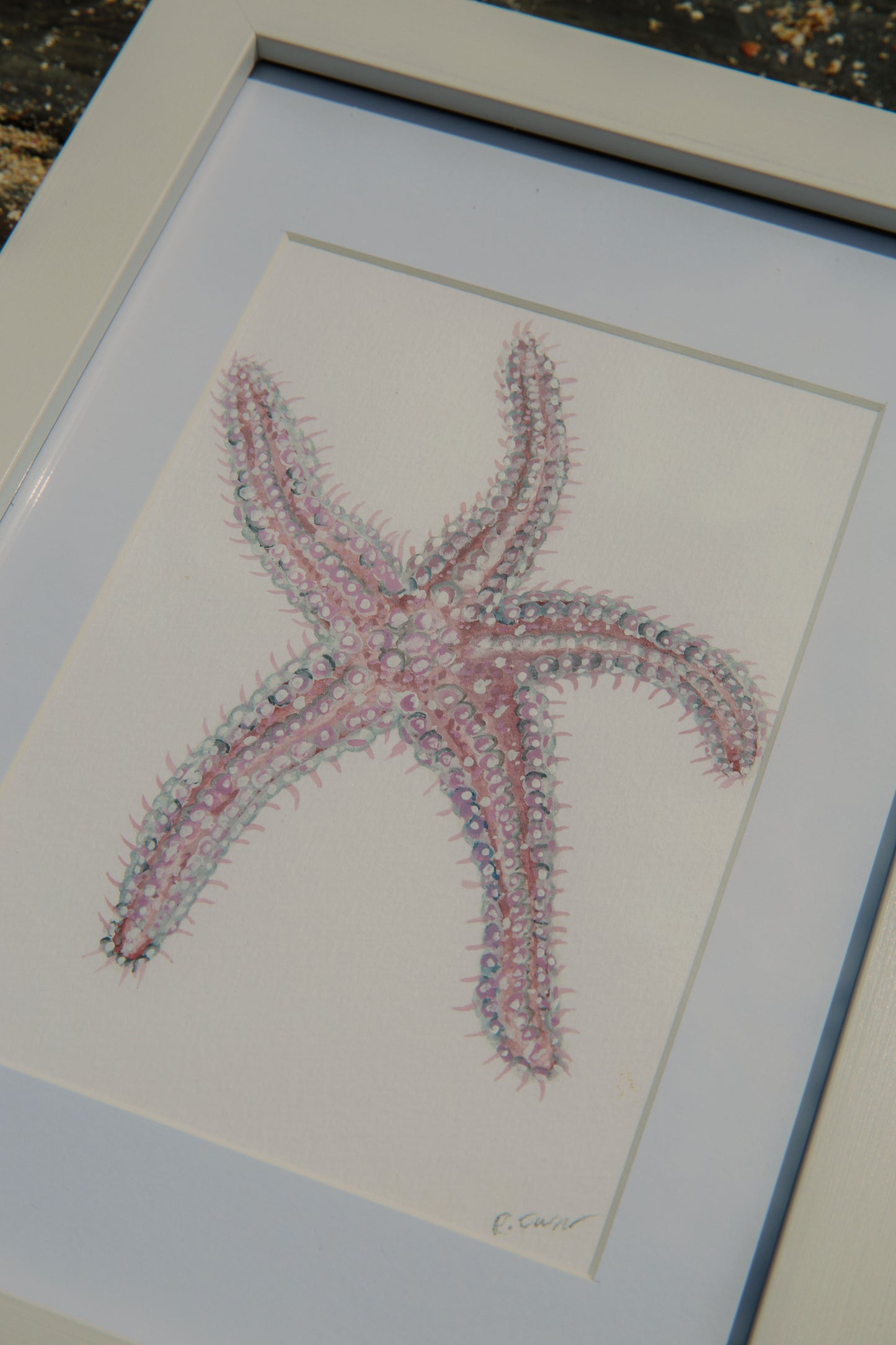 Spiny Starfish Mini Original Watercolour