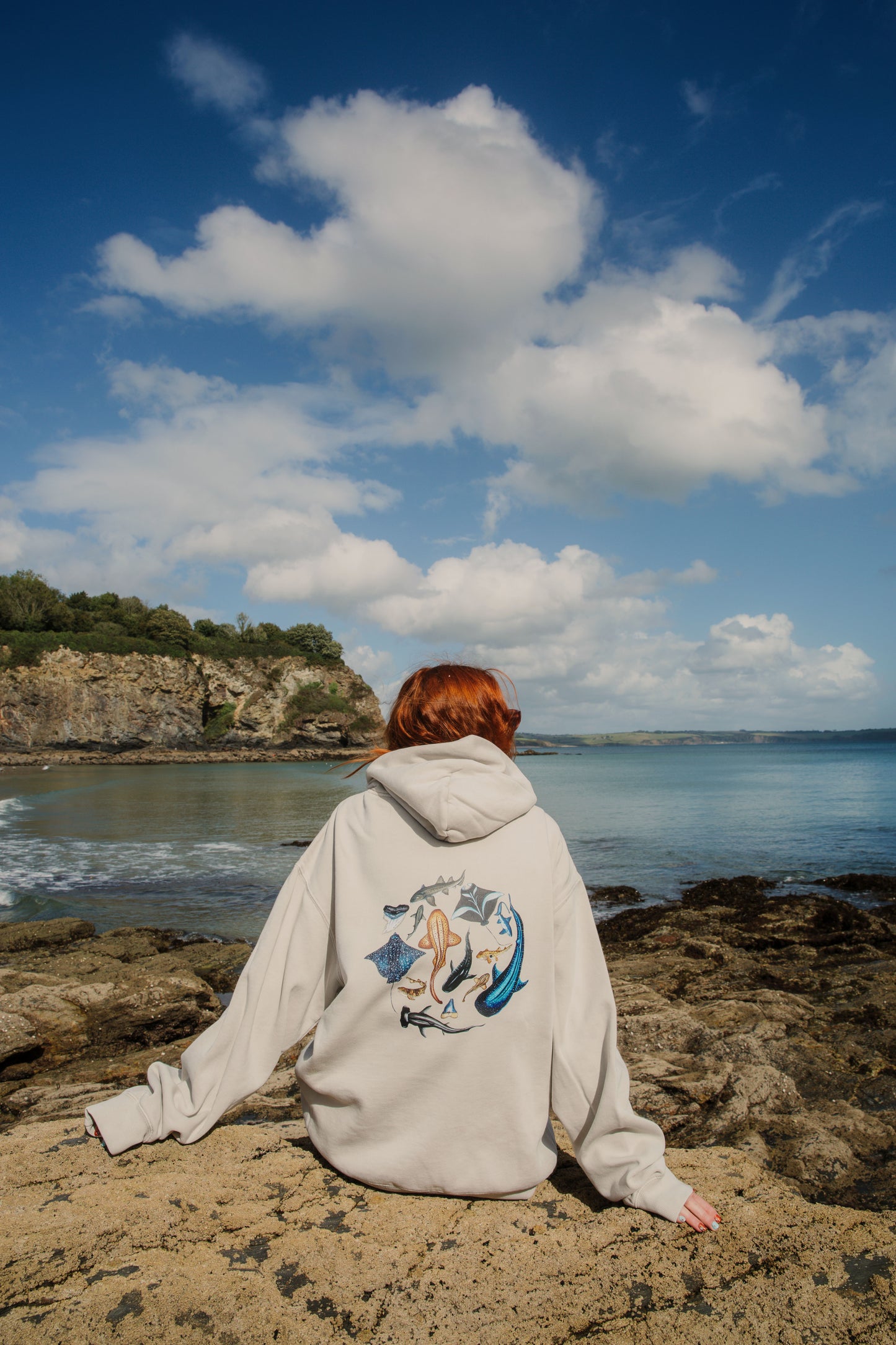 The School of Sharks Hoodie