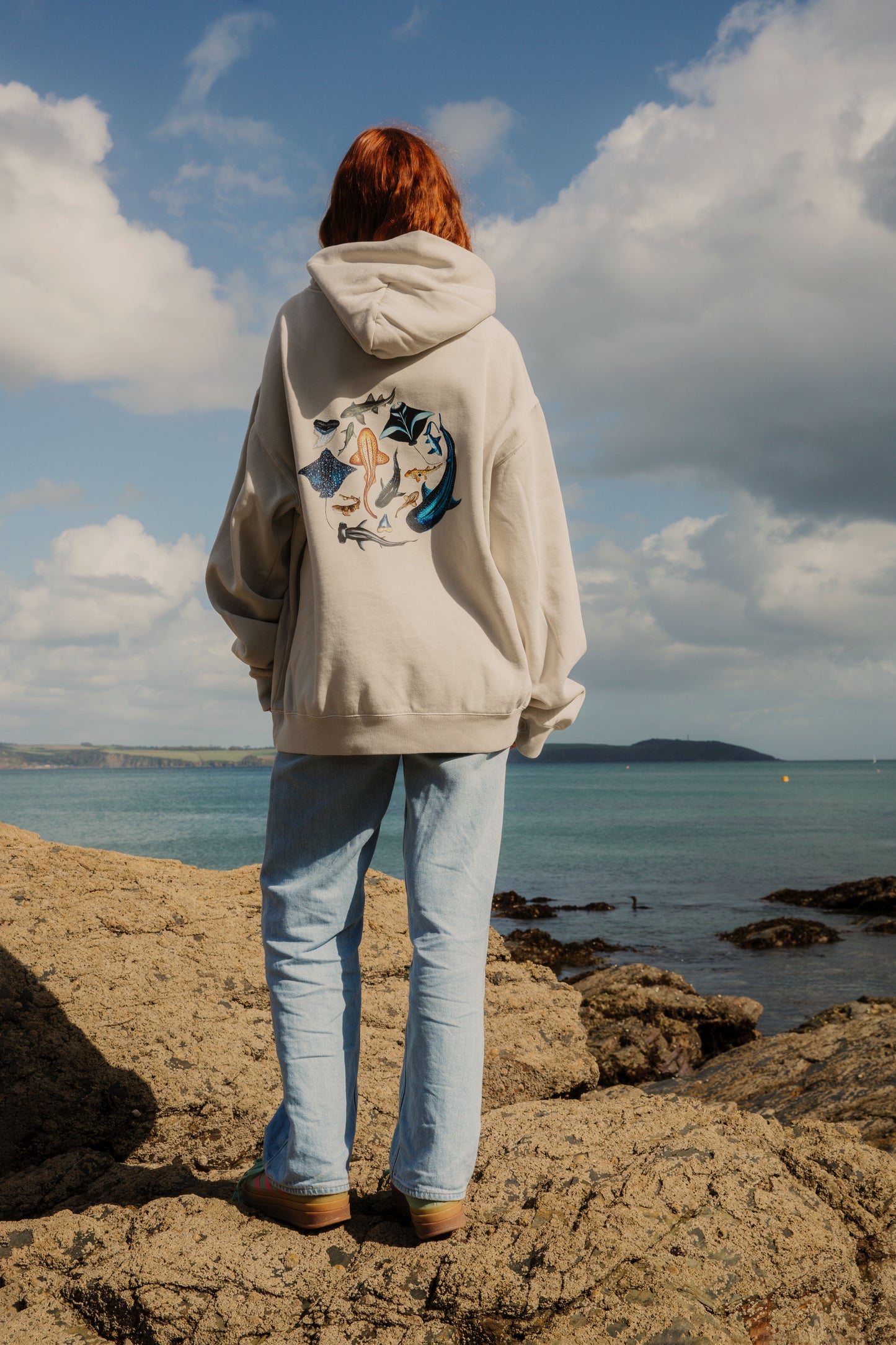 The School of Sharks Hoodie