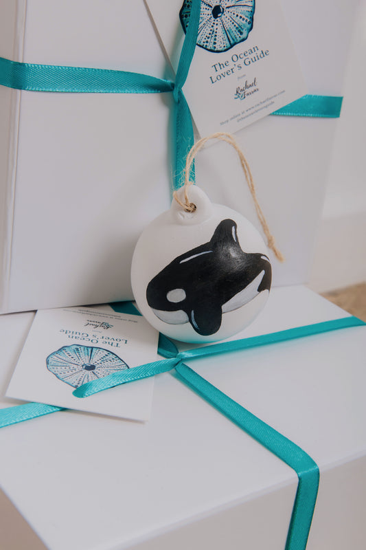 Orca Hand Painted Bauble