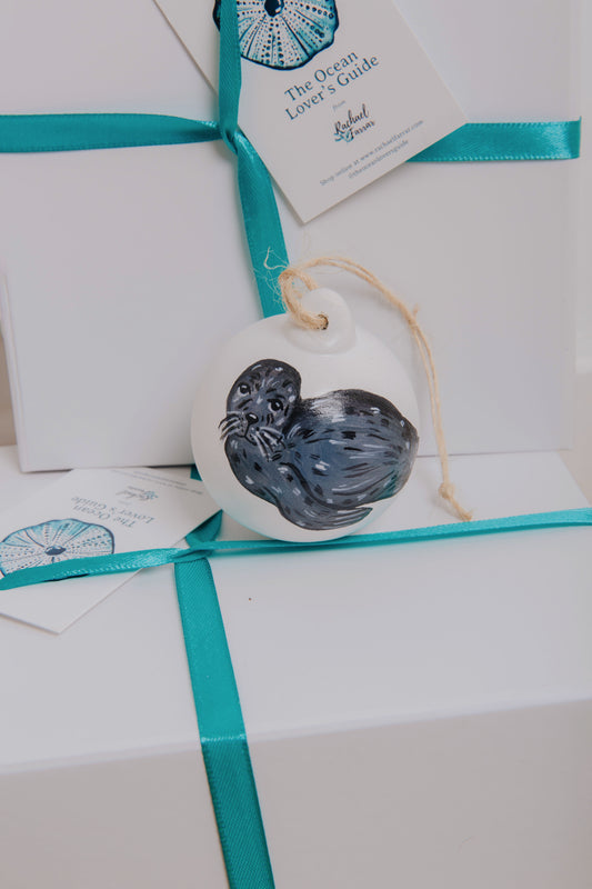 Grey Seal Hand Painted Bauble