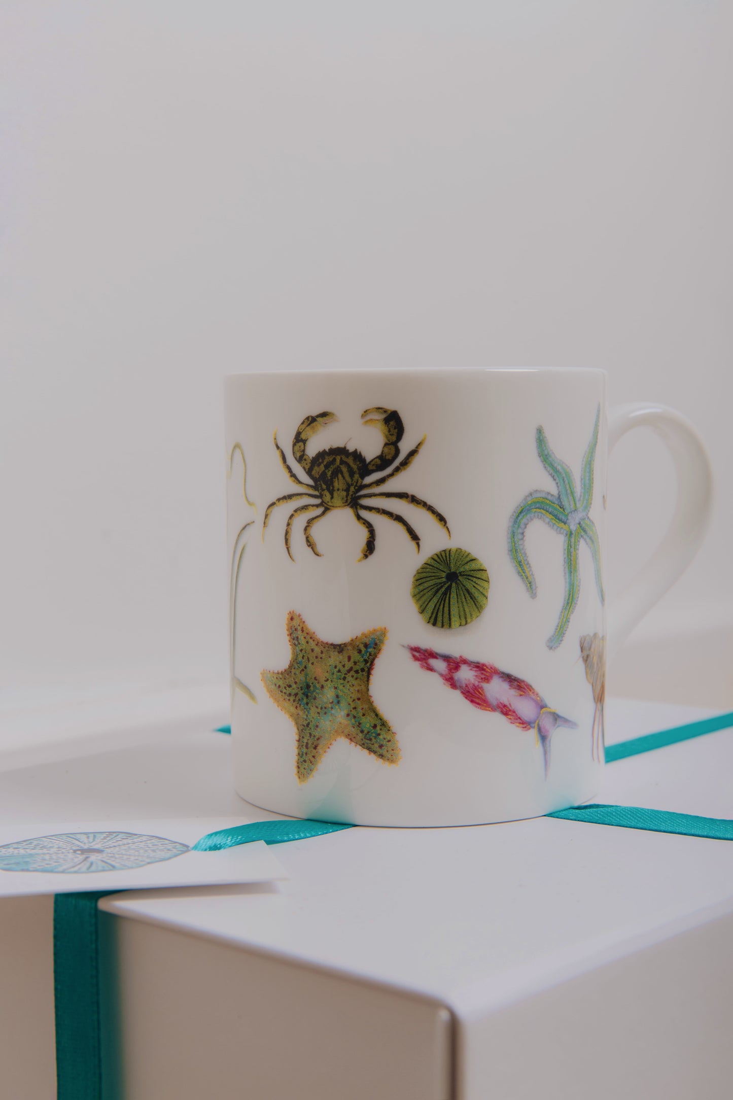 The Rock Pool Mug