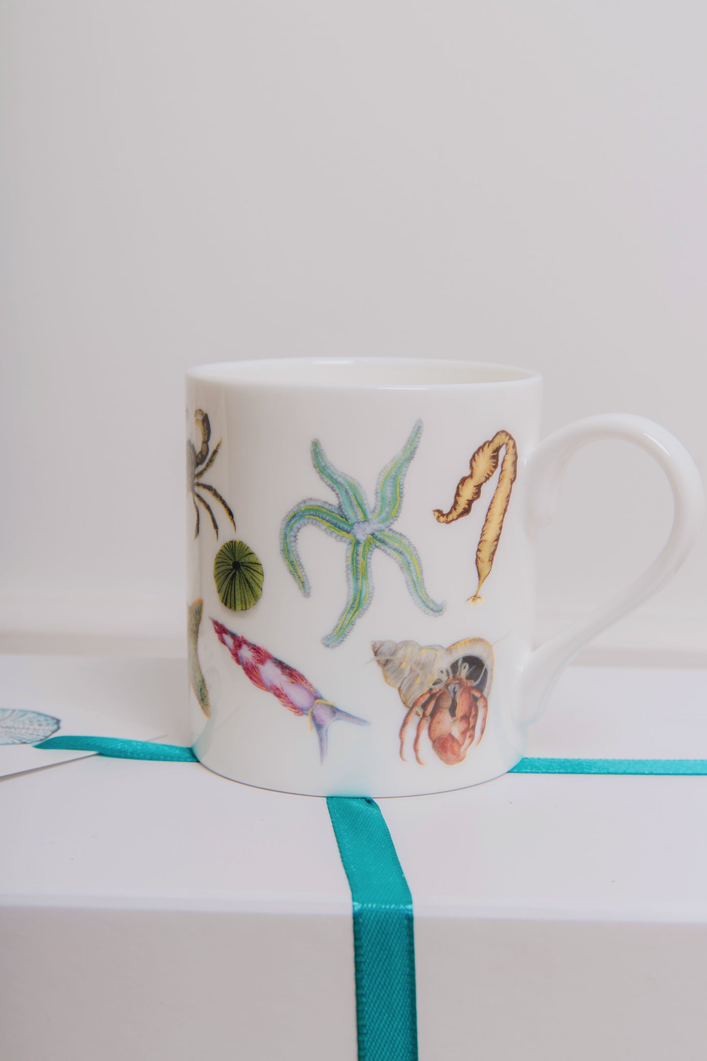 The Rock Pool Mug