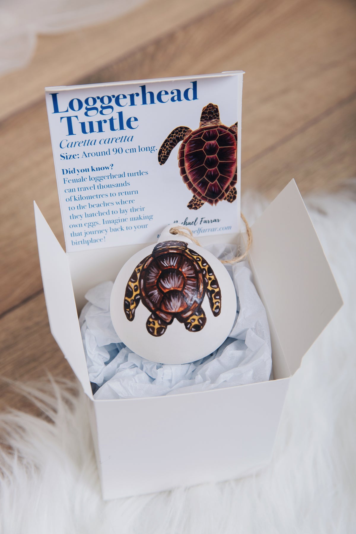 Loggerhead Turtle Hand Painted Bauble