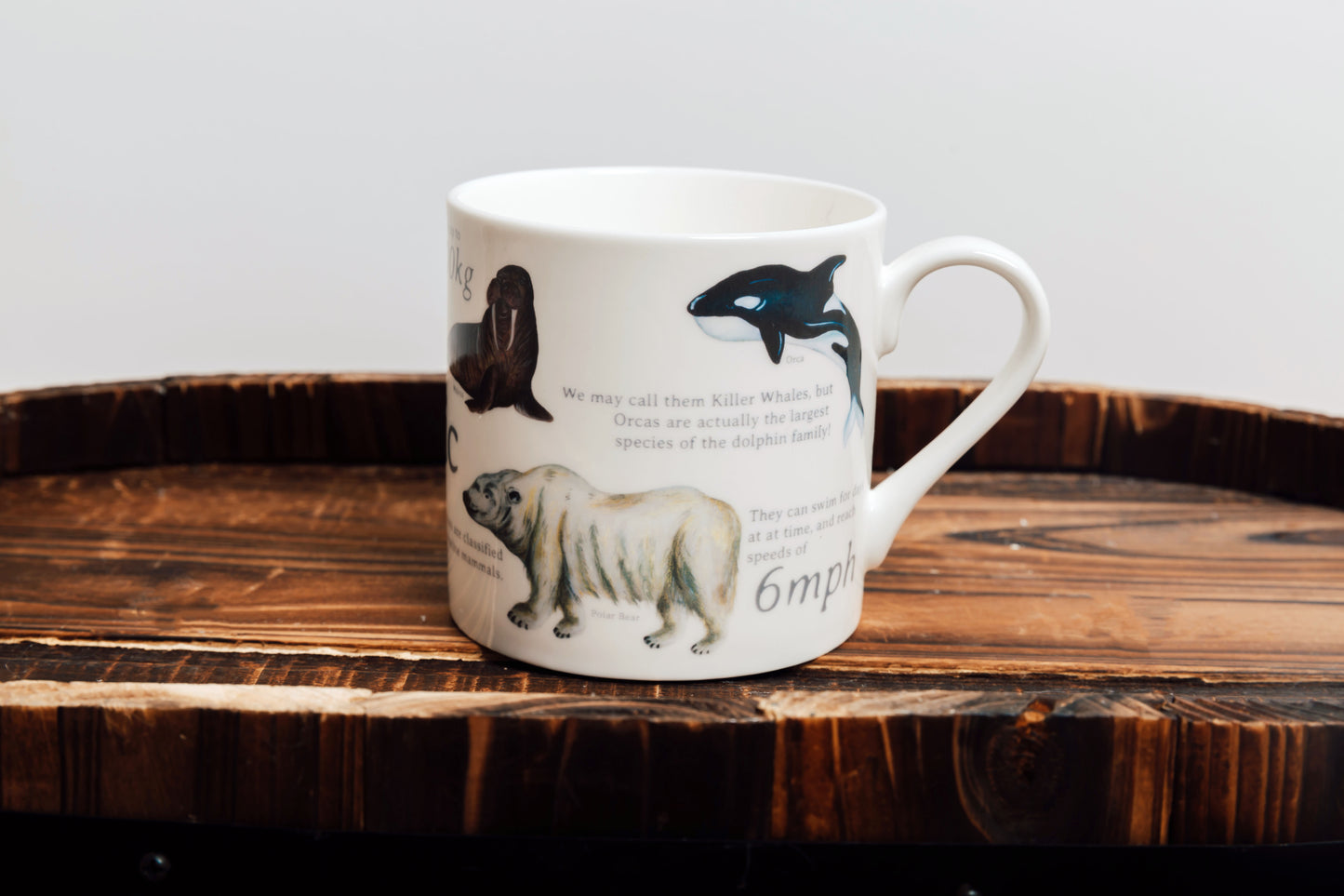 The Arctic Bone China Mug
