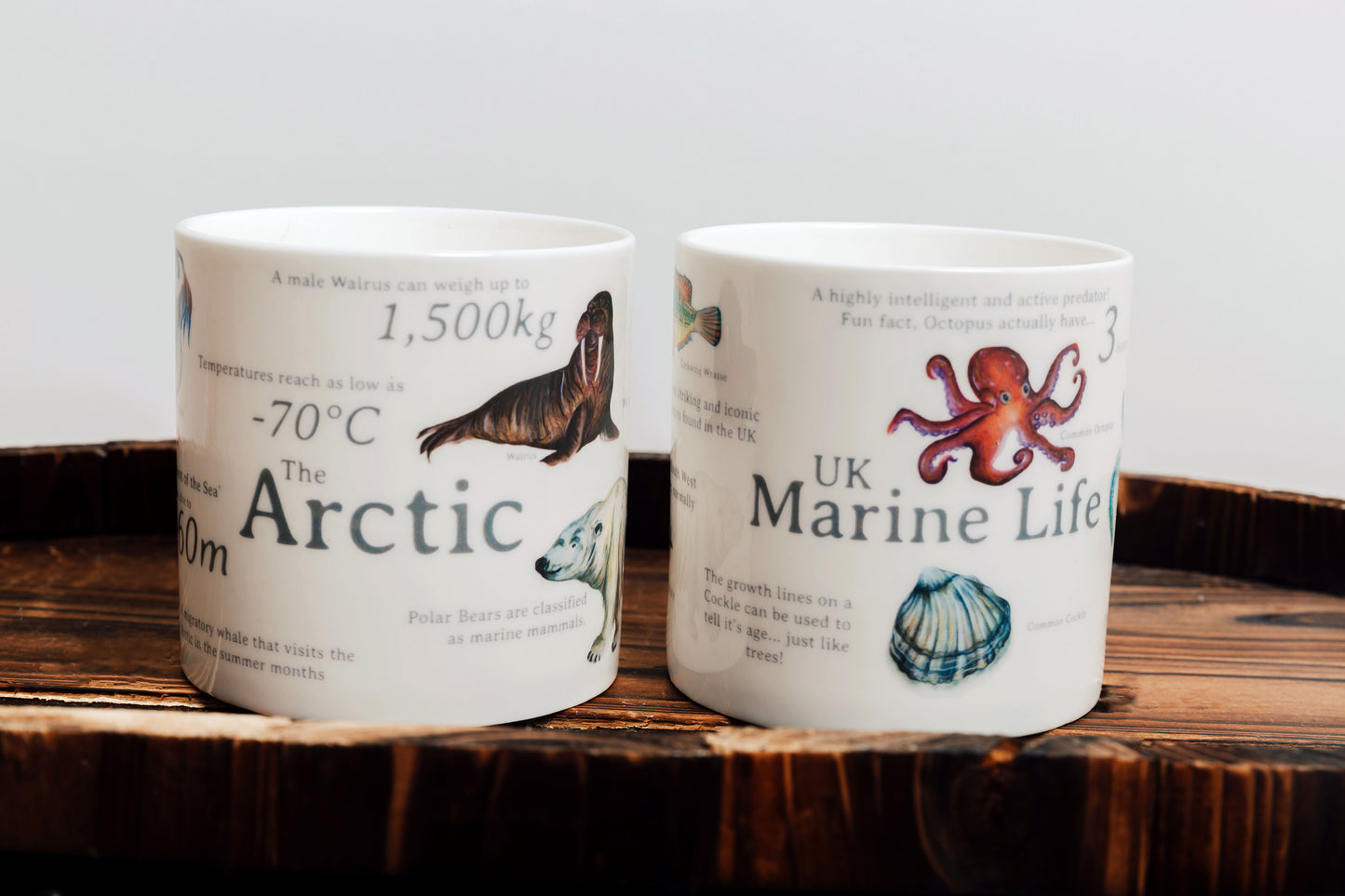 The Arctic Bone China Mug