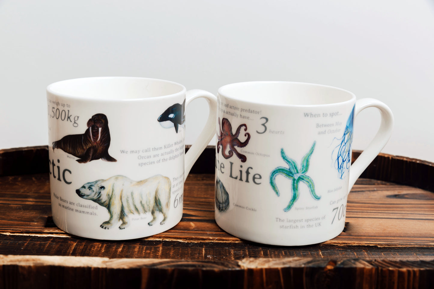The Arctic Bone China Mug