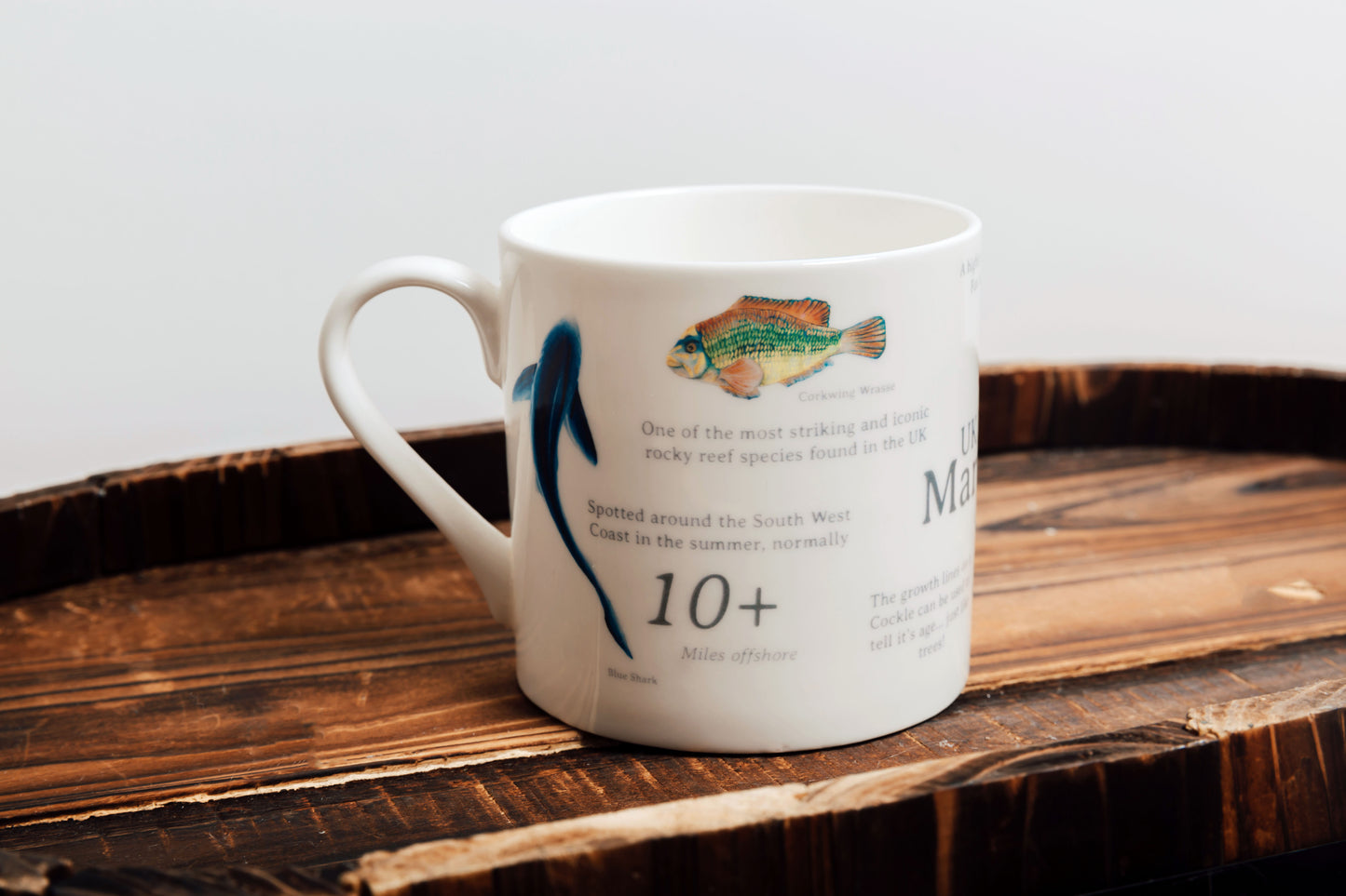 UK Marine Life Bone China Mug