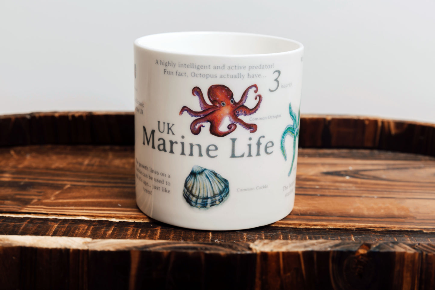 UK Marine Life Bone China Mug