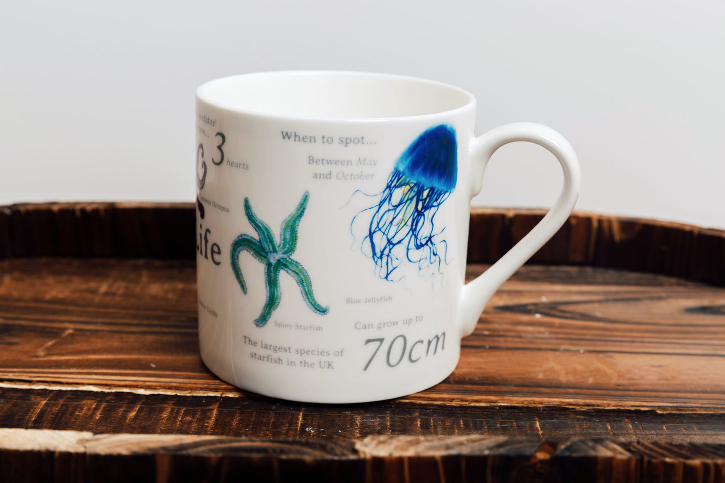 UK Marine Life Bone China Mug