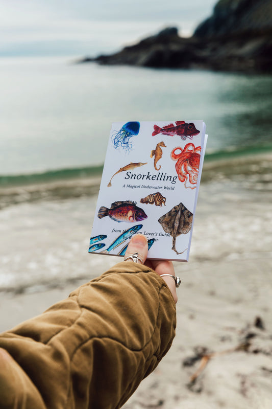 Snorkelling Pocket Book